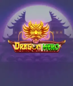 Присоединитесь к мифическое приключение с Dragon Hero от Pragmatic Play, представляющей потрясающую графику мощных драконов и героических битв. Откройте мир, где легенда встречается с приключением, с представляющими сокровищ, мистических существ и зачарованных оружий для триллерного слот-опыта.